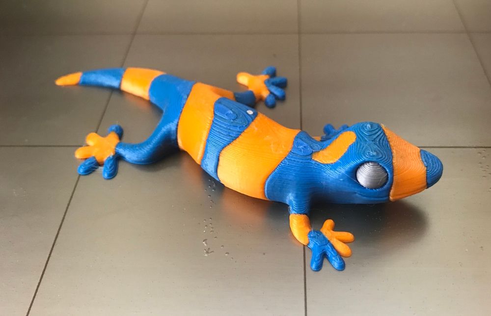 Lizard