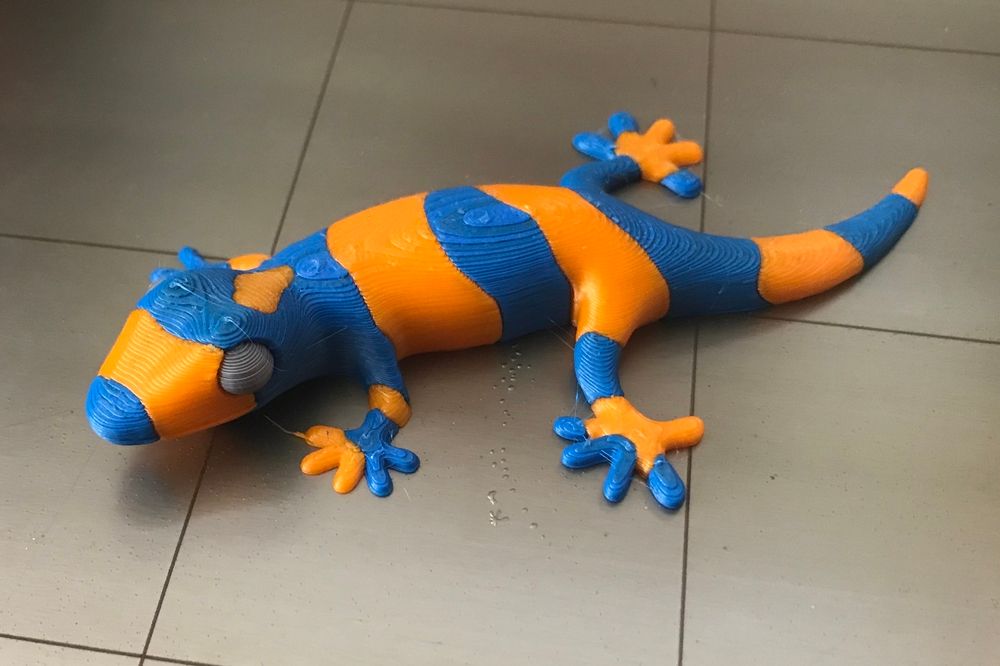 Lizard