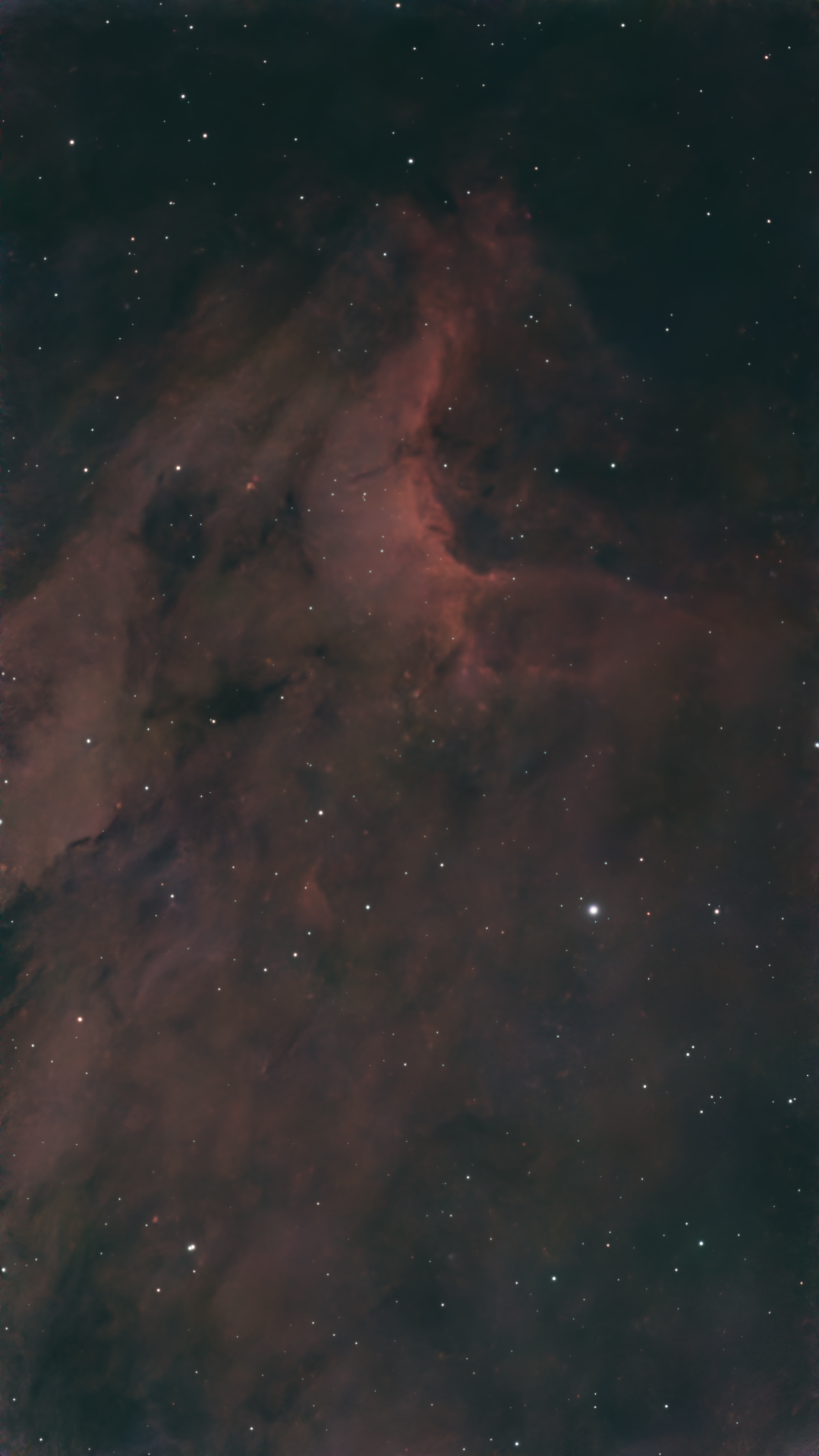 Pelican Nebula