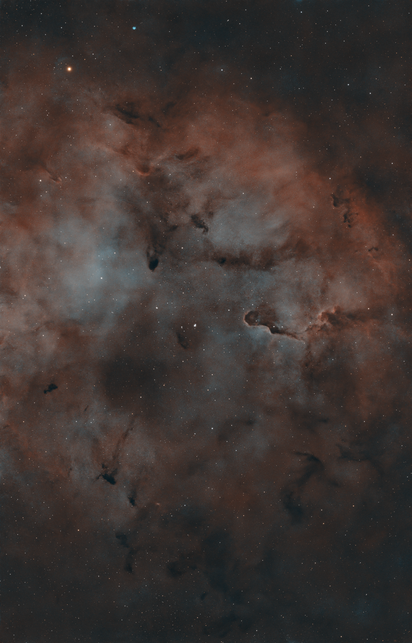 Elephant's Trunk Nebula