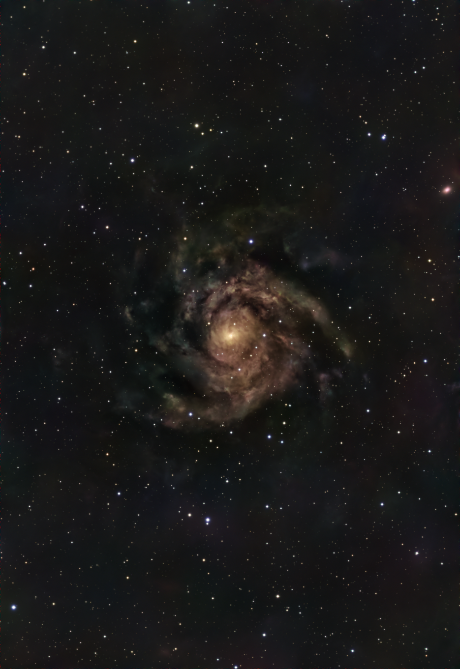The Hidden Galaxy