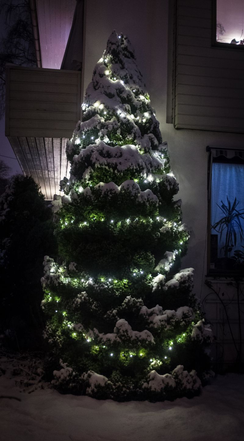 Christmas 2014
