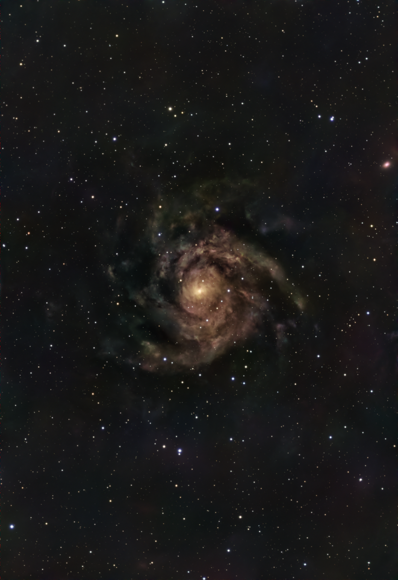 The Hidden Galaxy