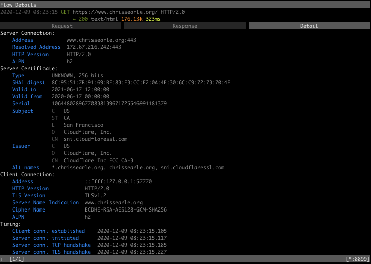 mitmproxy curl details